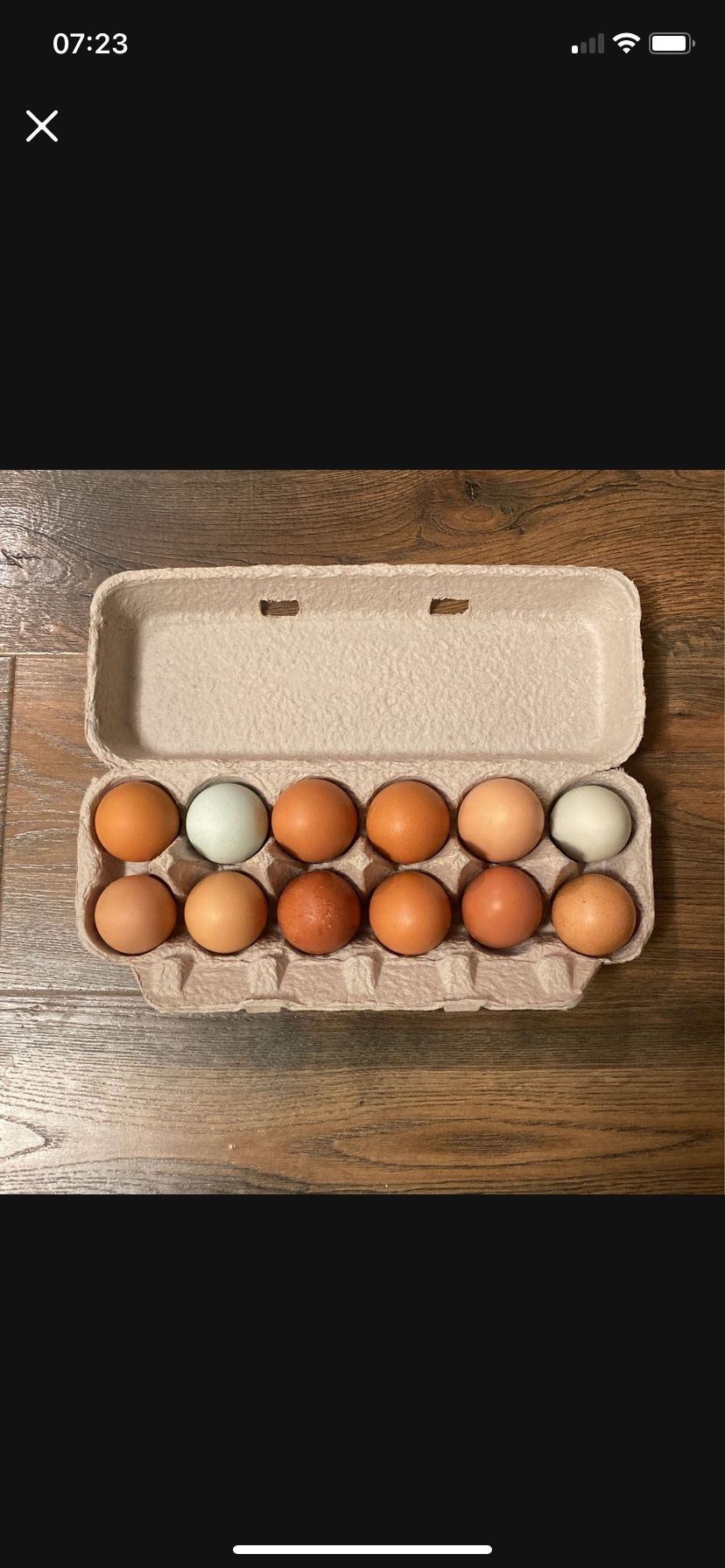 Farm Fresh Eggs - $6 Doz