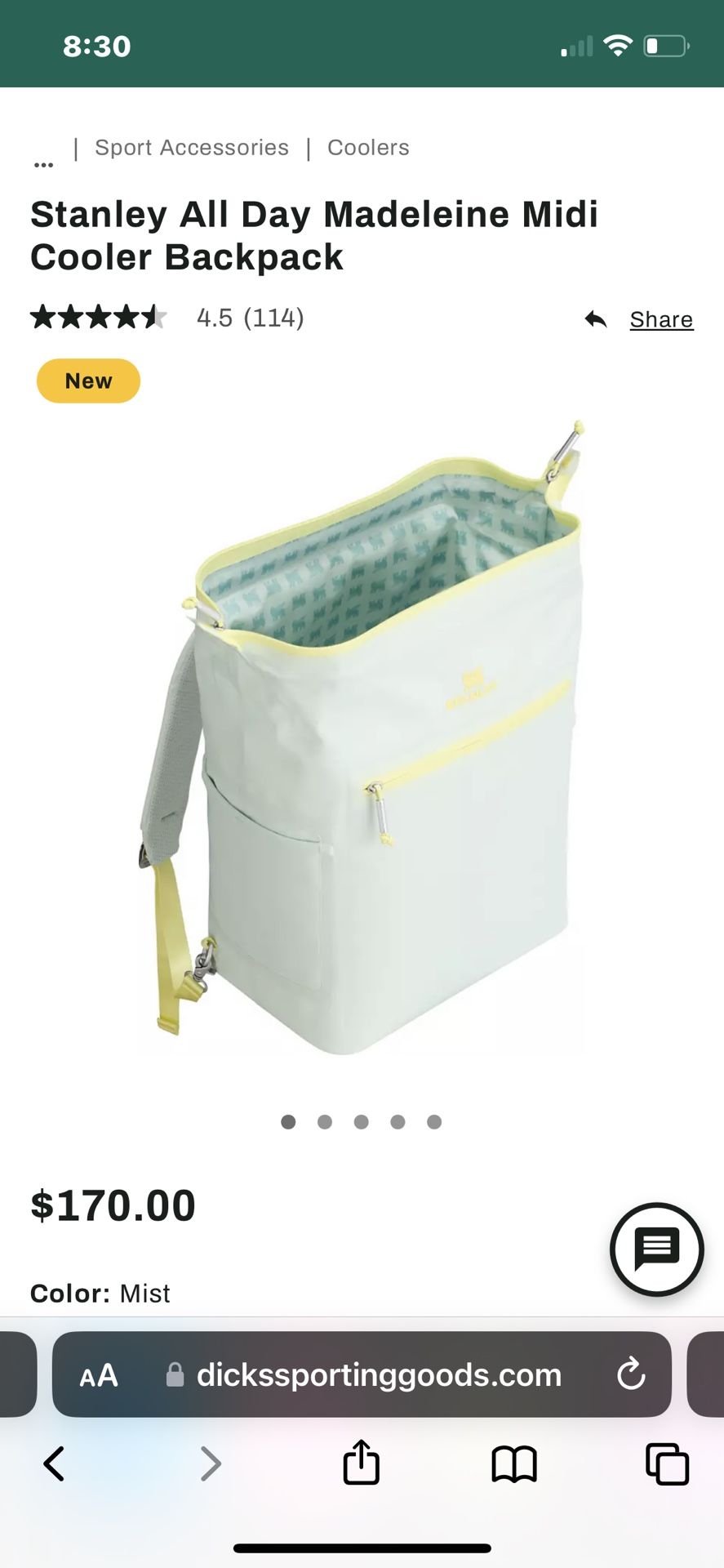 backpack cooler 🎒 