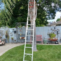 Extentions Ladder! Must Go 