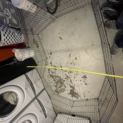 Dog Cage 