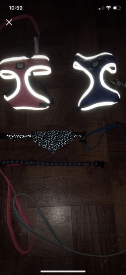 Cat accessories