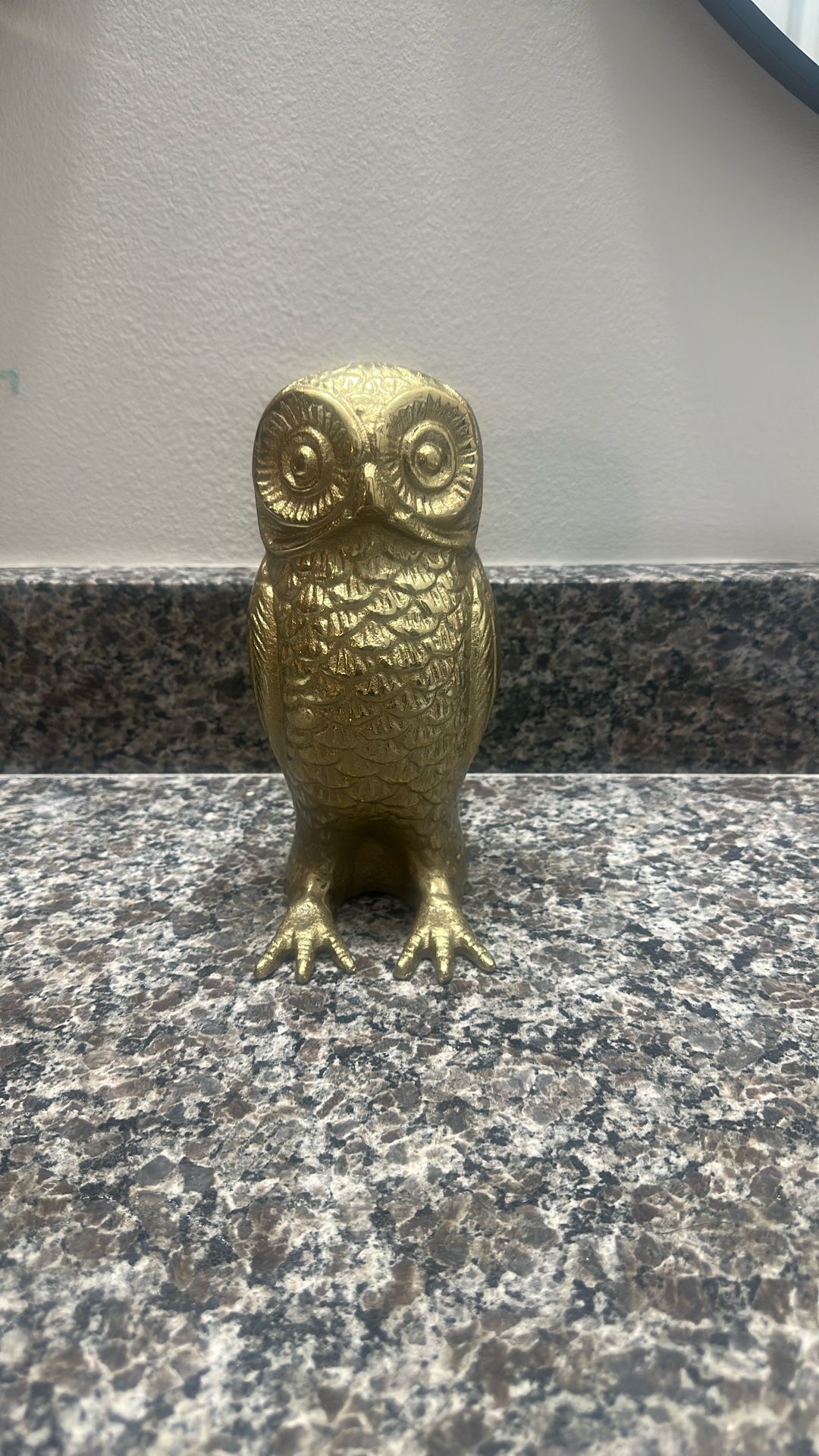 Golden Colored Owl