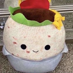 Brand New Squishmellow Plush Burrito 