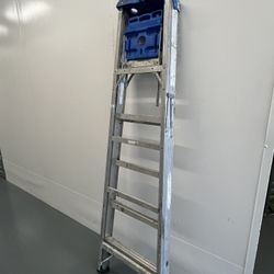 Werner 6FT Aluminum Ladder 250 Lb Capacity 