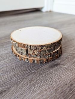 12 Rustic Linden Tree Wood Coasters
