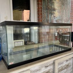 Glass Tank!