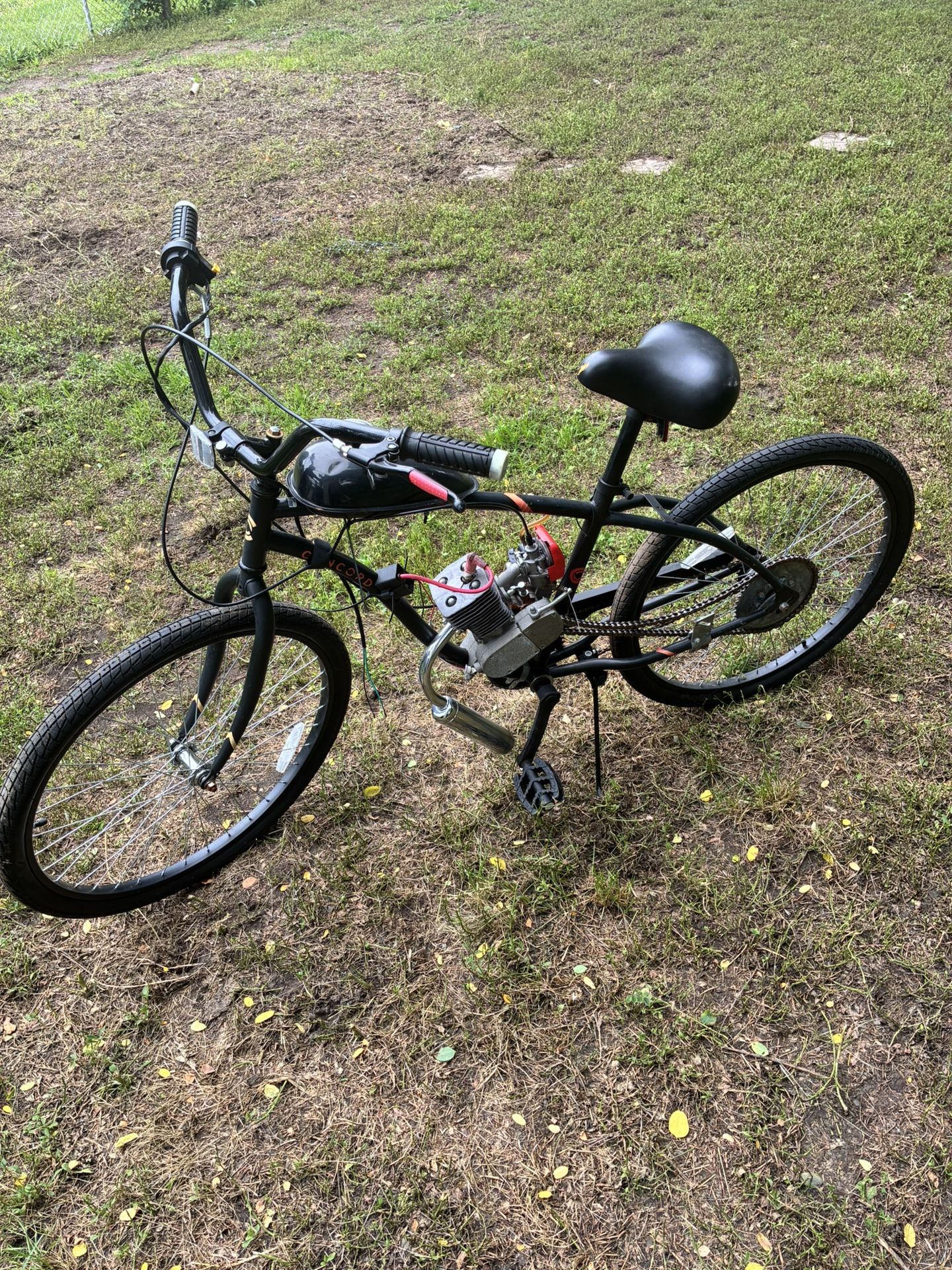 Beach Cruiser With 80cc Motor