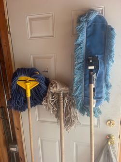 Mops