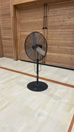 Fan