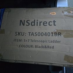 Telescopic Ladder