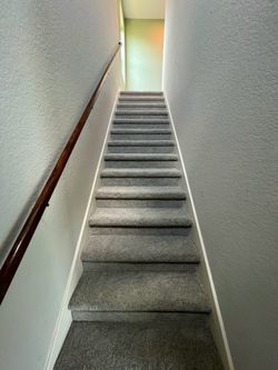 excellent Carpet