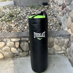 Everlast Punching Bag With Chain