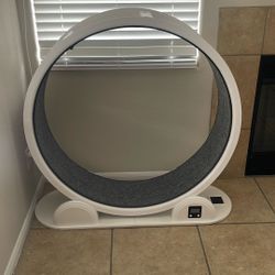 Cat Exercise Wheel