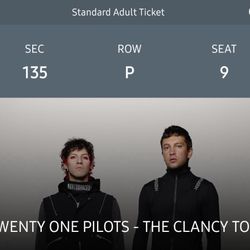 Twenty One Pilots 