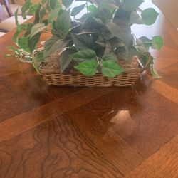 8 Artificial Green Plant Basket 5 x 14”
