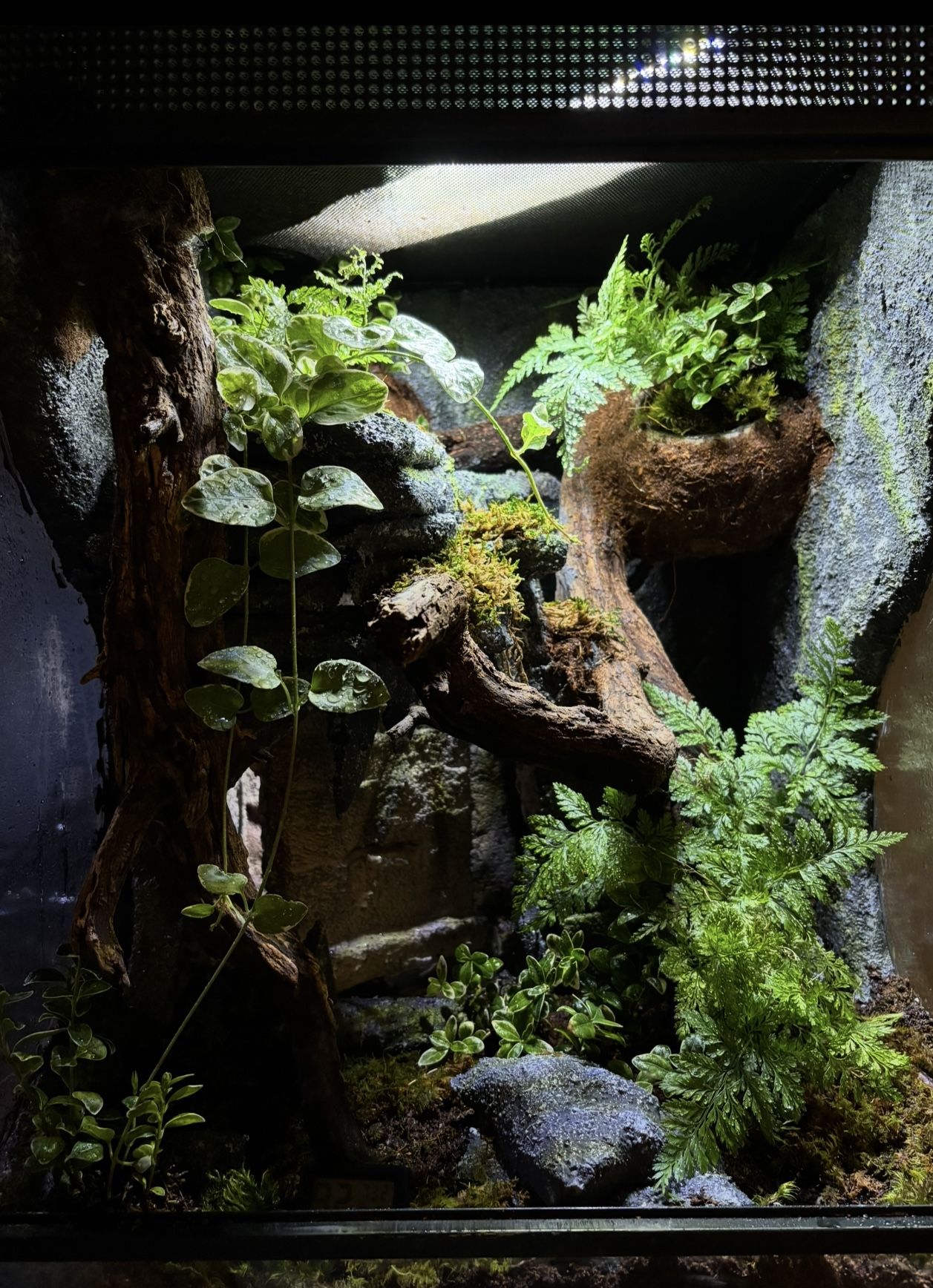 Tanks With Backgrounds