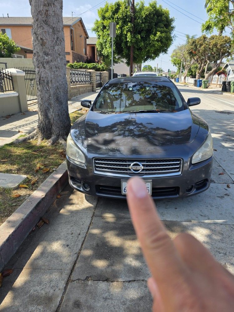 2010 Nissan Maxima