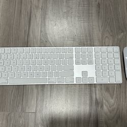 Apple Magic Keyboard and Apple Magic Mouse