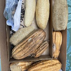 Loofah And Loofah Seeds