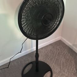 Fan