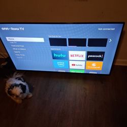 Rulu 55 Inch 