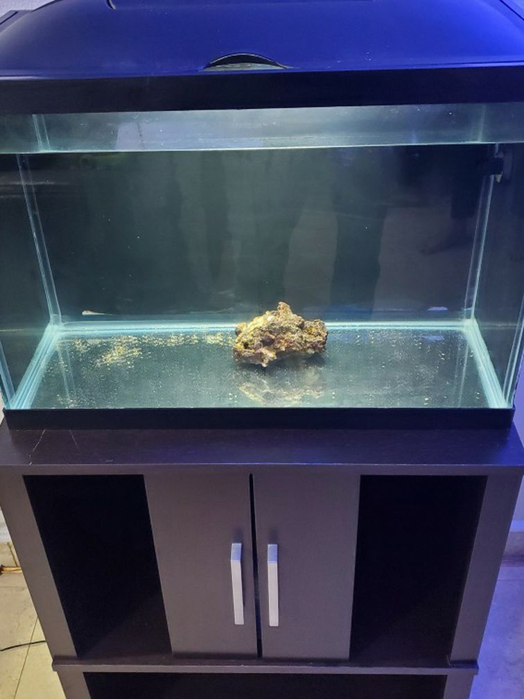 Fish Tank 20 Gallons with nice stand