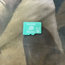 Nintendo switch animal crossing 512gb memory card