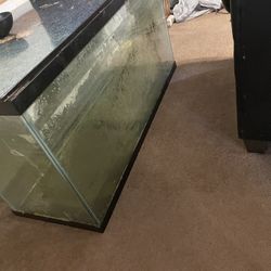 55 Gal fish Tank With Wooden Stand And Accessories