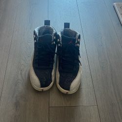 Jordan 12