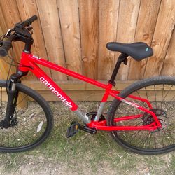 Cannondale quick cx 3