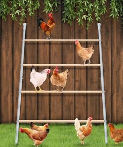 Chicken Coop Perching Ladder