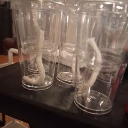 Corm /self Watering Cups For Plants.  5 For 12$