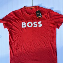 🔥 Clothing Lot 30+ Pieces Hugo Boss Nike Champion Dickies Jordan XL-2XL AS IS 👕🧥 