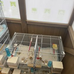 Cage