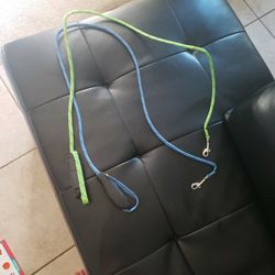 Light up dog leashes