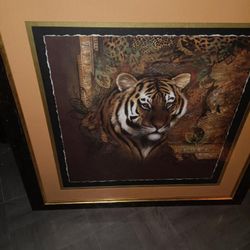 Tiger Framed Portrait