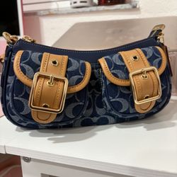 coach ashton bag 