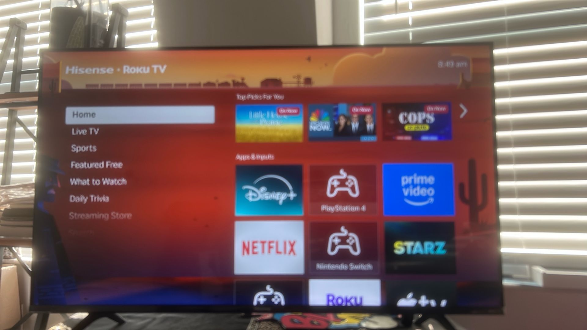 TV-43in Roku TV