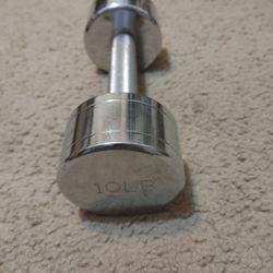 10 Lbs Chrome Dumbbell