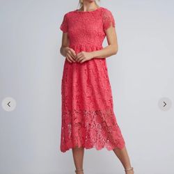 Pink Dress 