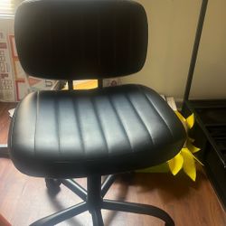Desk Chair