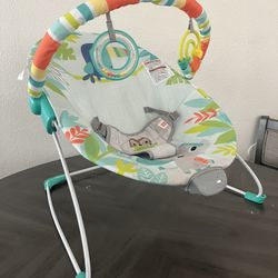 Baby Bouncer