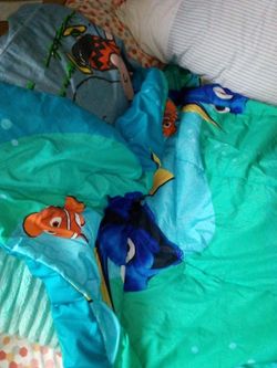Finding Nemo Twin Size Blankets 