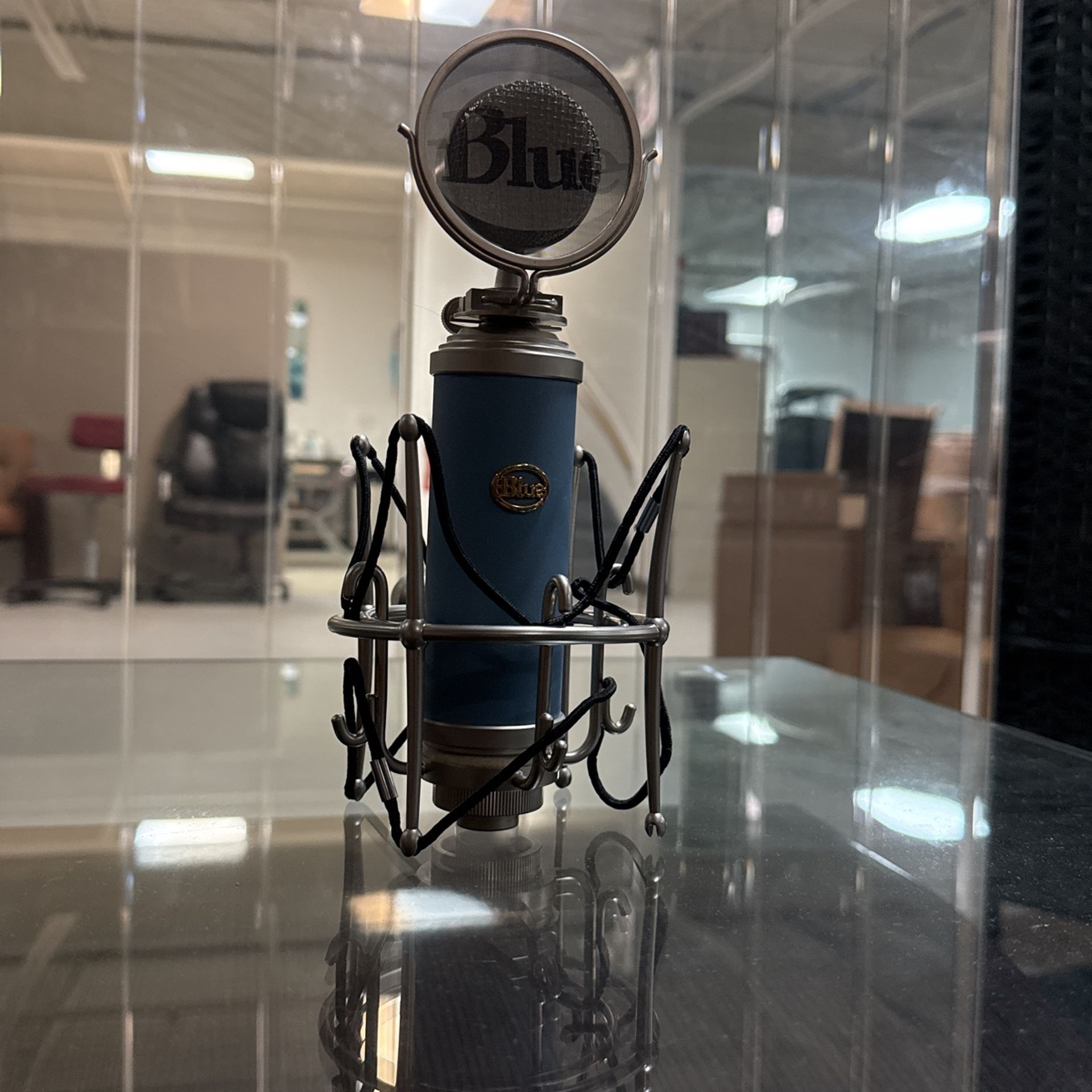 Bluebird 83-25824 Studio Microphone