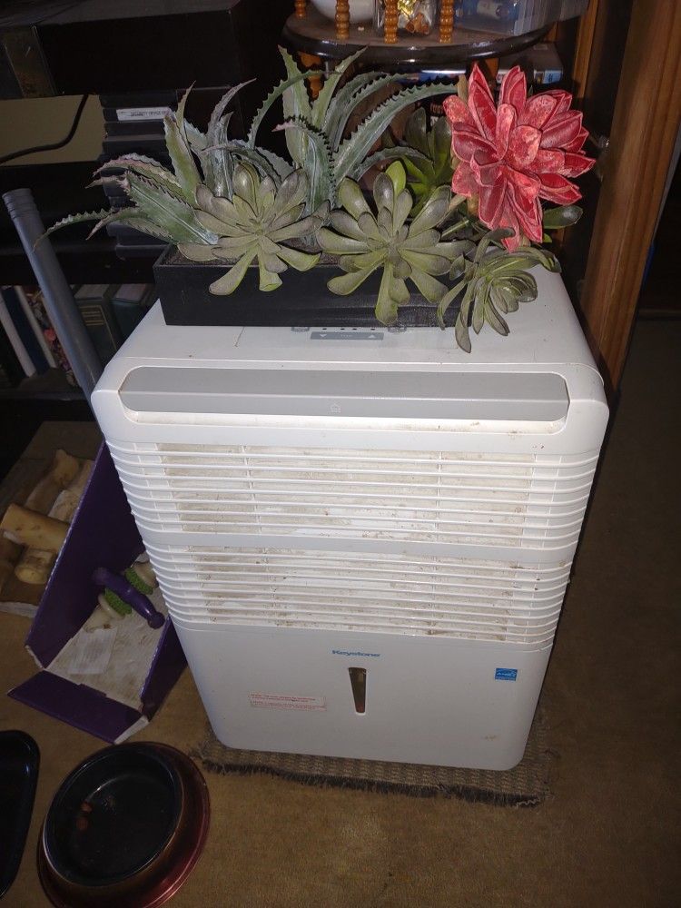 LARGE ROOM DEHUMIDIFIER - WORKS GREAT