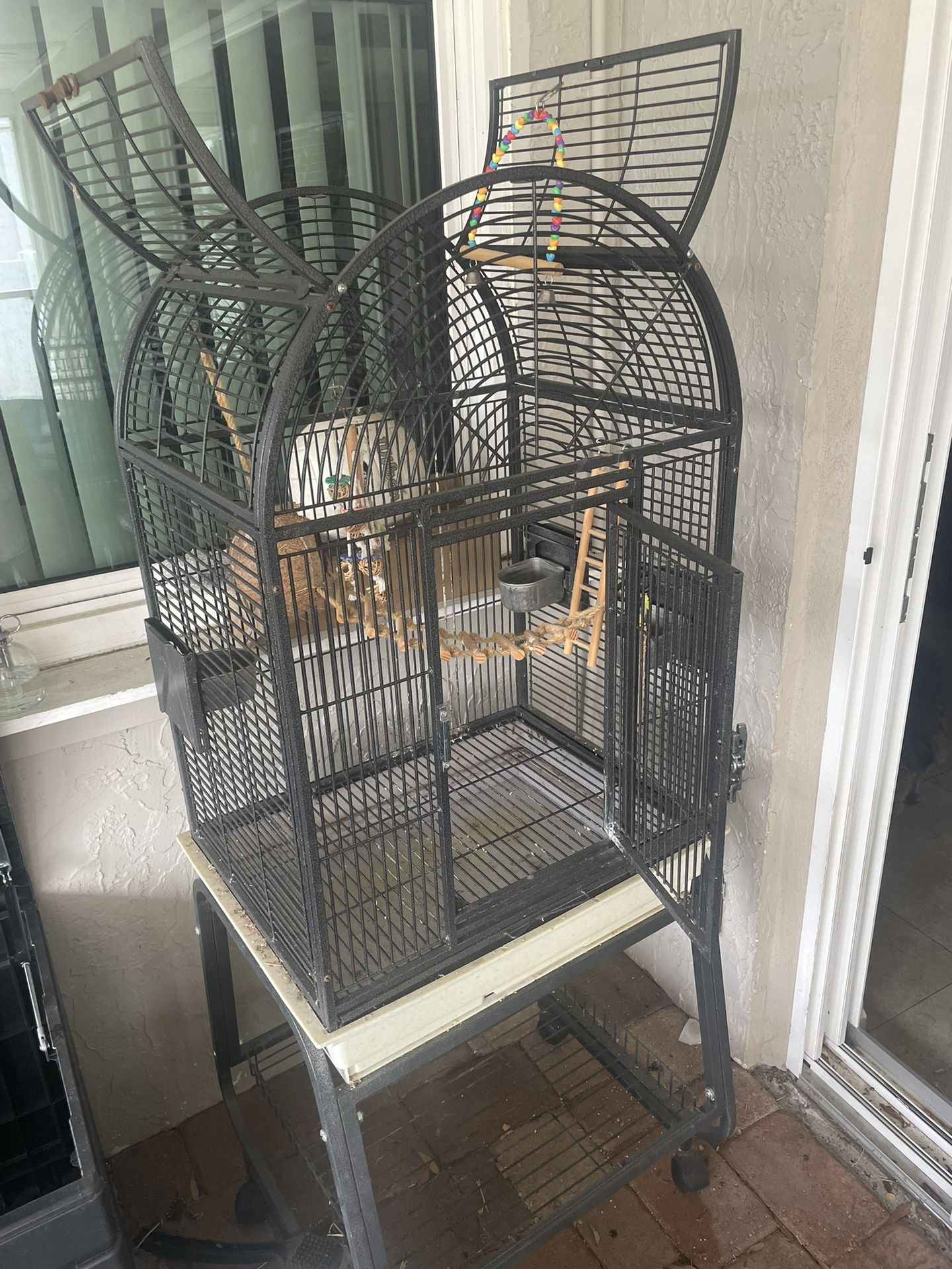 Bird Cage