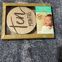 Wooden Monthly Photo Props