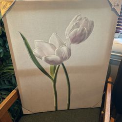 Canvass Print Of Tulips (New!)
