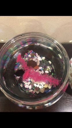 Decoration