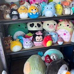 Squishmallow bundle